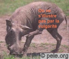 On ne s'illustre pas par la vulgarité